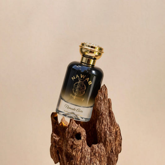 Nomadic Aura - Inspired by LV Ombre Nomade