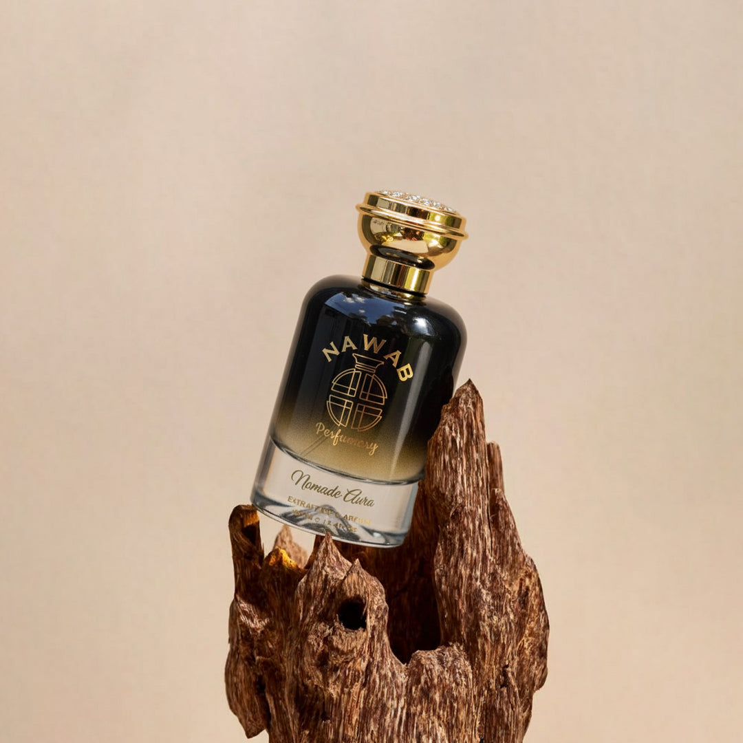 Nomadic Aura - Inspired by LV Ombre Nomade