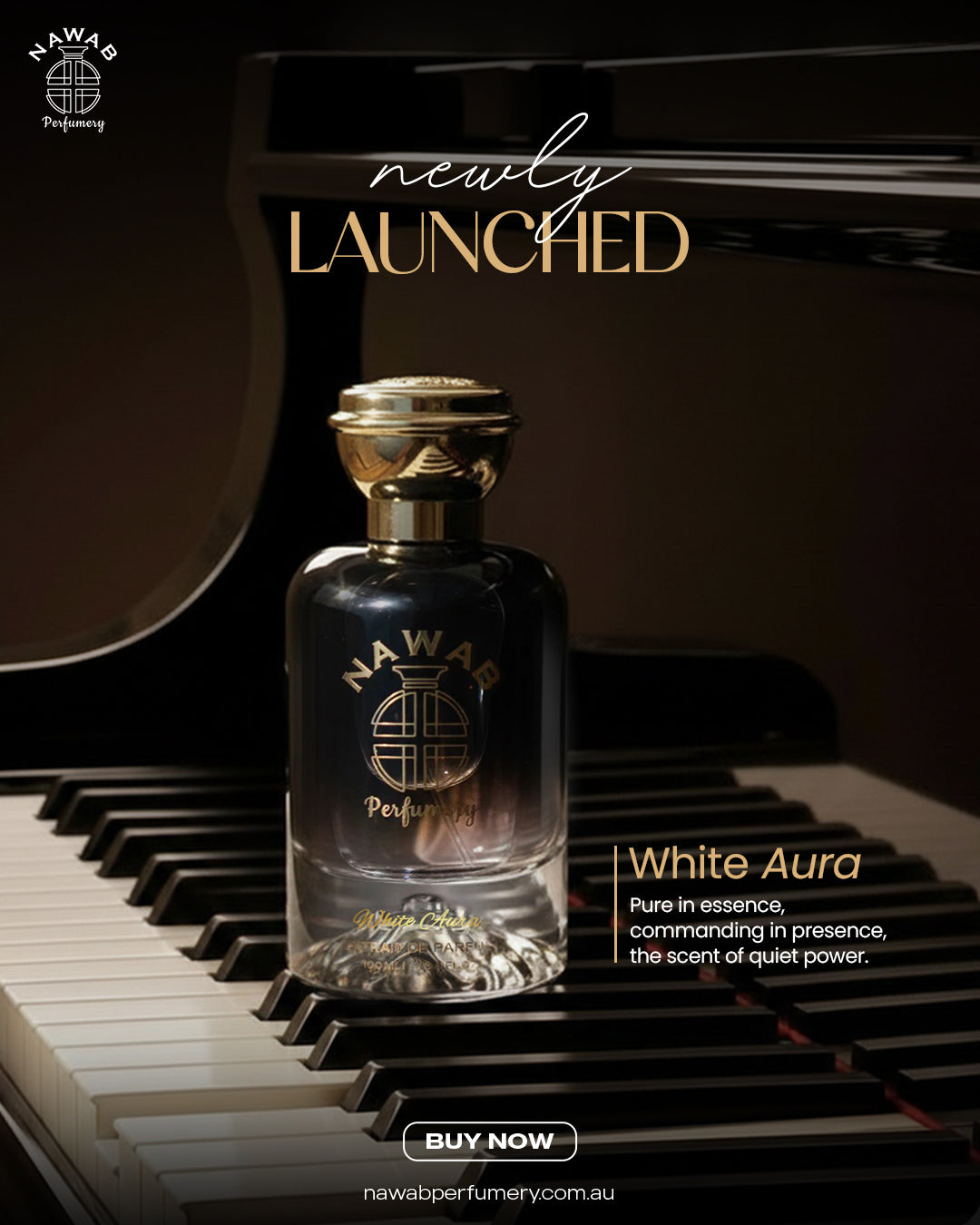 New Arrival Combo Deal | 4 Premium Perfumes